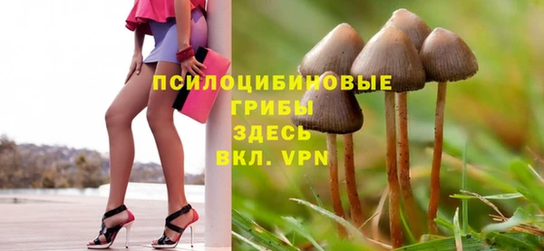 Альфа ПВП Аркадак