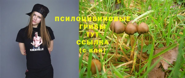 Альфа ПВП Армянск