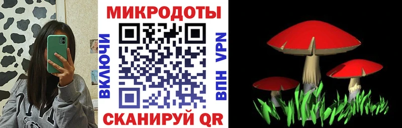 Псилоцибиновые грибы ЛСД  мега ссылка  Приморск 